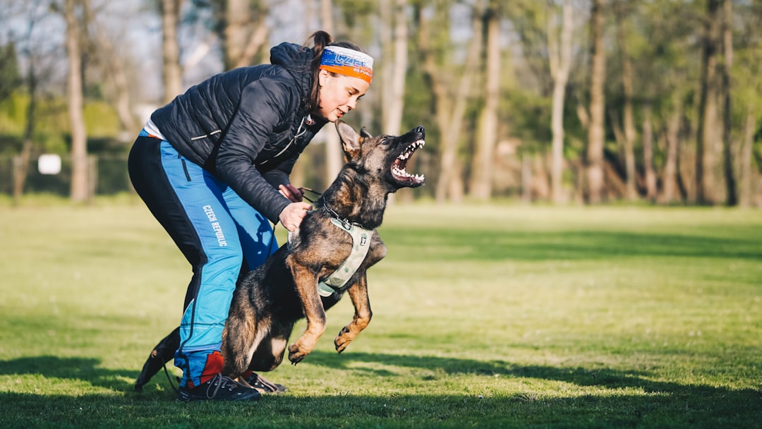 innovations-et-tendances-cles-pour-comportement-anxiete-solutions-en-2026